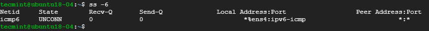Tìm các kết nối socket IPv6 trên Linux