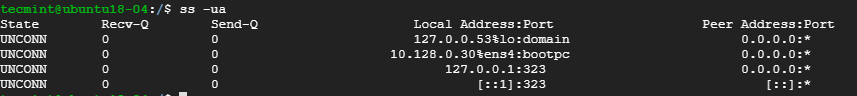 Liệt kê tất cả các kết nối socket UDP trên Linux