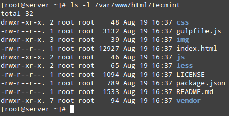 Nội dung DocumentRoot của Nginx
